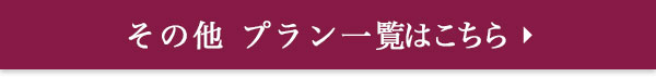 その他 プラン一覧はこちら
